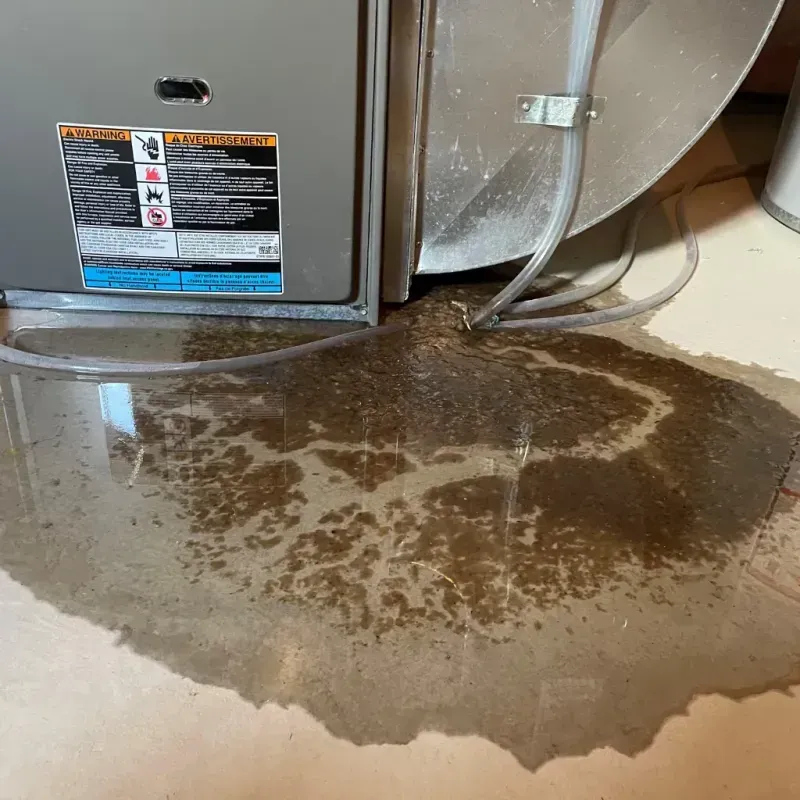 Appliance Leak Cleanup in Bridgeport, IL